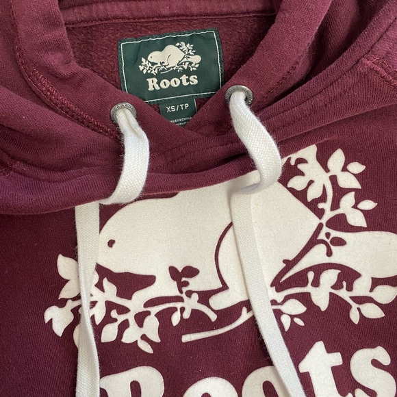 roots cooper beaver pullover hoodie - Picture 4 of 6